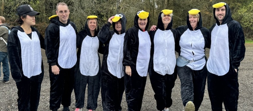 penguins!
